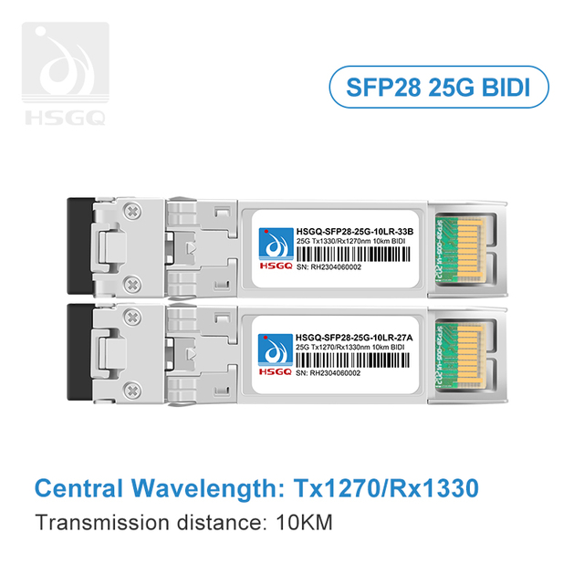 25g módulo SFP no formulário completo do interruptor