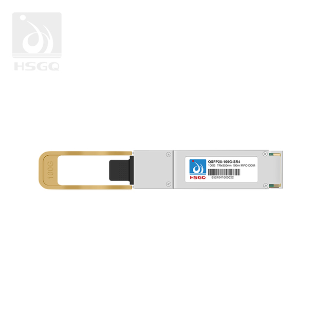 100g fibra óptica de SFP no interruptor