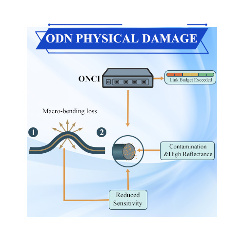 Dano F&iacute;sico ODN